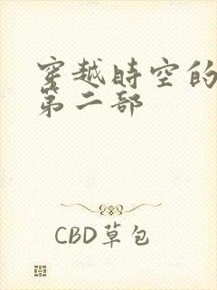 穿越时空的爱恋第二部