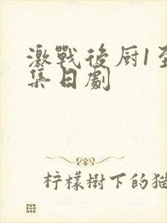 激战后厨1至5集日剧