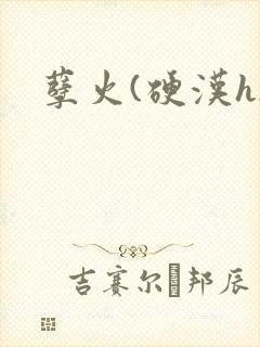 孽火(硬汉h)