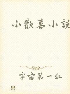 小欢喜小说