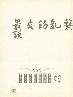最爽的乱系列小说