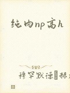 纯肉np高h
