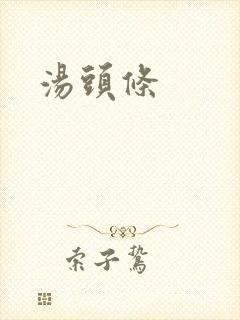 汤头条