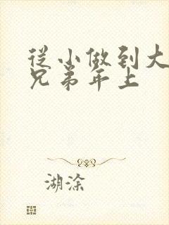 从小做到大骨科兄弟年上封面