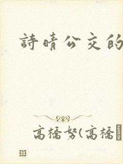 诗晴公交的小说