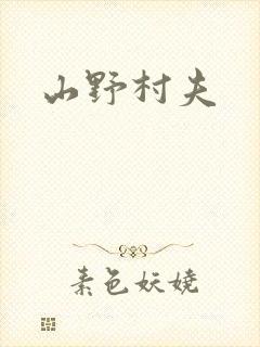 山野村夫封面