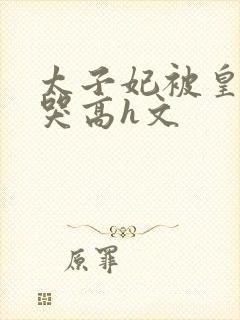 太子妃被皇上c哭高h文封面
