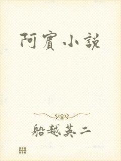 阿宾小说