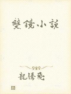 双镜小说封面