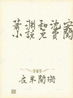 萧渊和沈安安的小说免费阅读封面