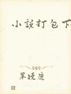小说打包下载封面