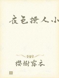 夜色撩人小说