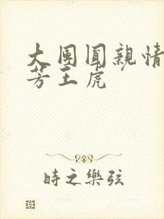 大团圆亲情会王芳王虎封面