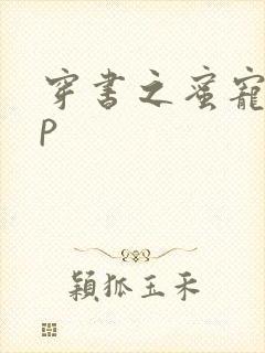 穿书之蜜宠hnp