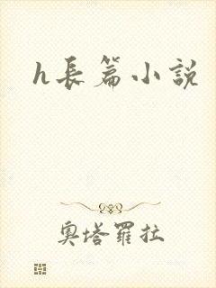 h长篇小说