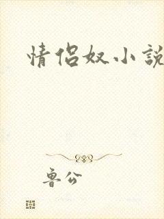 情侣奴小说封面