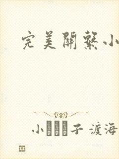 完美关系小说