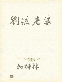 刘流老婆