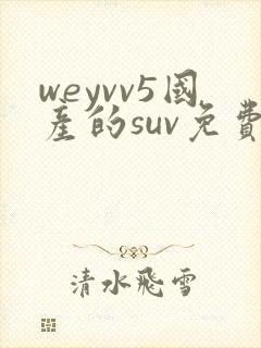weyvv5国产的suv免费