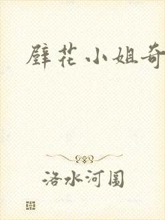 壁花小姐奇遇记