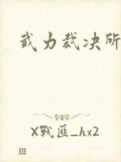 武力裁决所
