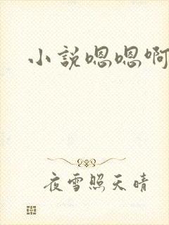 小说嗯嗯啊啊