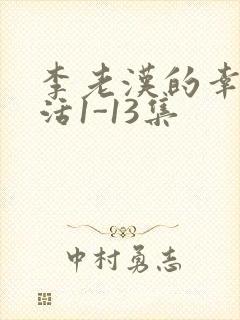 李老汉的幸福生活1-13集