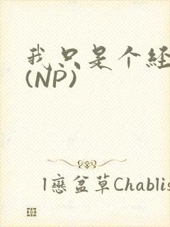 我只是个经纪人(NP)