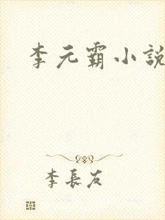 李元霸小说封面