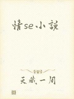 情se小说