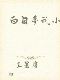 白日梦我小说封面