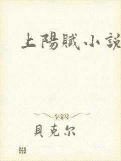 上阳赋小说