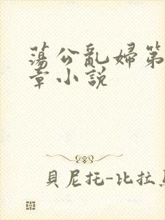 荡公乱妇第51章小说