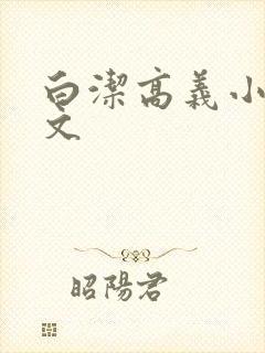 白洁高义小说全文