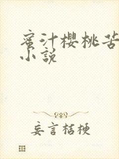 蜜汁樱桃苦咖啡小说
