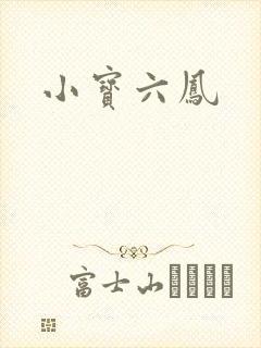 小宝六凤