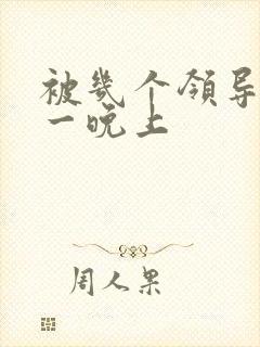 被几个领导玩弄一晚上