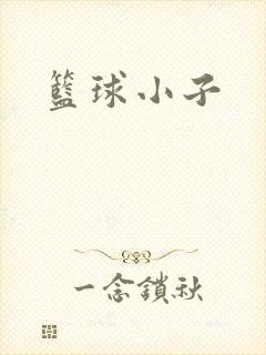 篮球小子