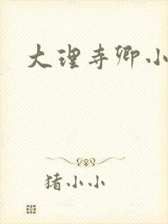 大理寺卿小说