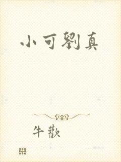 小可刘真封面