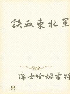 铁血东北军