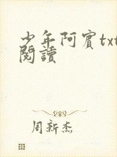 少年阿宾txt阅读