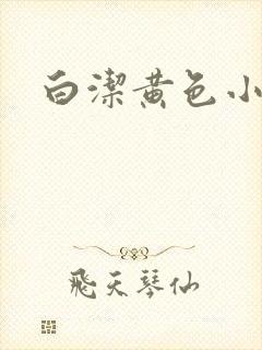 白洁黄色小说