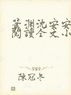 萧渊沈安安免费阅读全文小说封面