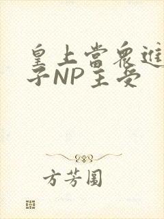 皇上当众进入太子NP主受