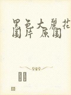 黑色大丽花真实图片 原图
