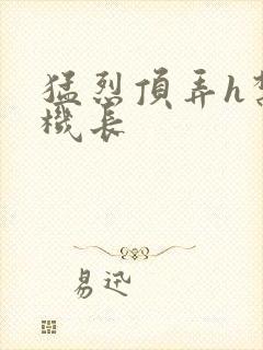 猛烈顶弄h禁欲机长封面