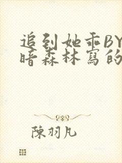 追到她乖BY黑暗森林写的小说