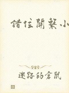 错位关系小说