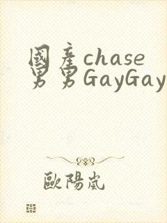 国产chase男男GayGay封面